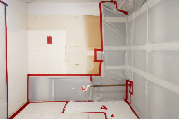 Best Air Quality Testing for Mold Spores  in Tornado, WV
