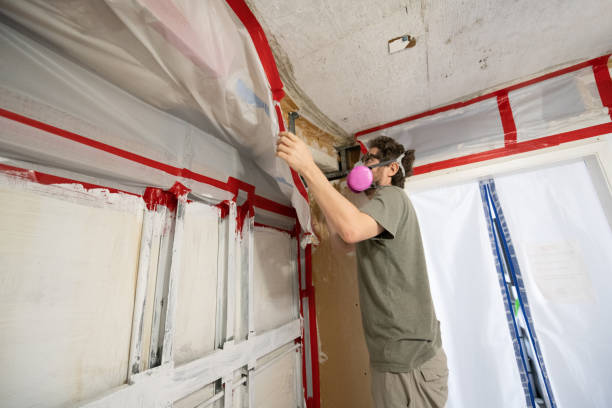 Trusted Tornado, WV Mold Removal Experts