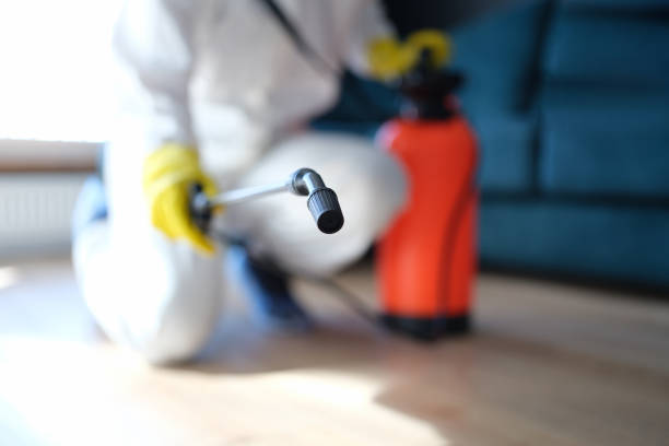 Best Indoor Air Quality Assessment  in Tornado, WV