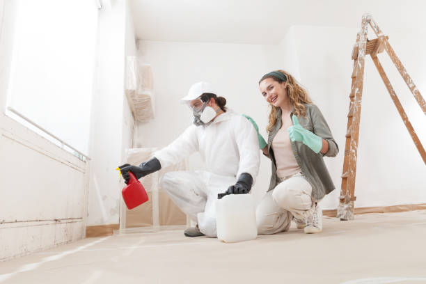 Best Mold Prevention Services  in Tornado, WV
